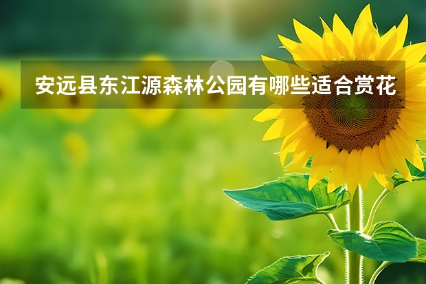 安远县东江源森林公园有哪些适合赏花的地方？